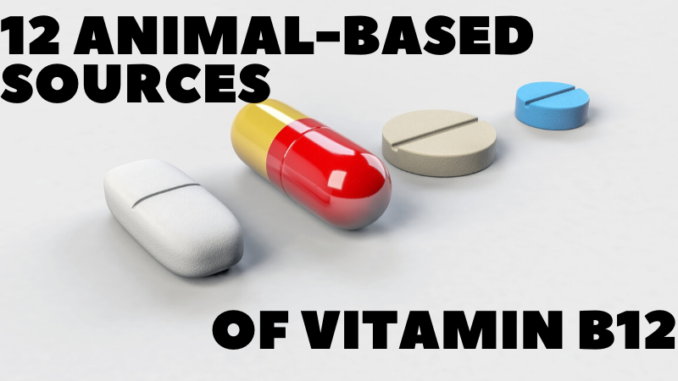 12 Animal-Based Sources of Vitamin B12 - AnimalBasedLife.com