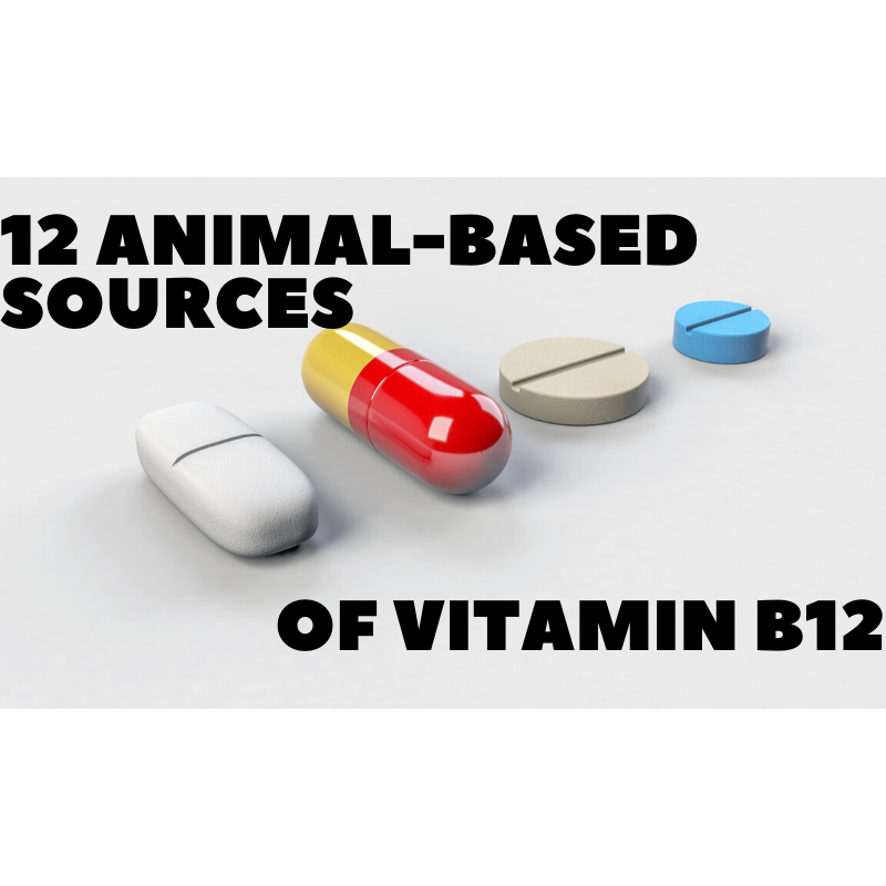12 Animal-Based Sources of Vitamin B12 - Animal Based Life