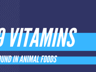 vitamins found in animal foods