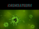 i had coronavirus